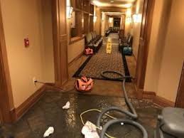 Commercial Flood Cleanup Services