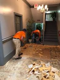 A Technician Conducting Water Damage and Mold Cleanup Services