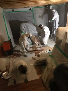 Water Damage and Mold Removal in a Home After a Storm