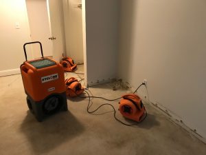  Mold Removal Truckee